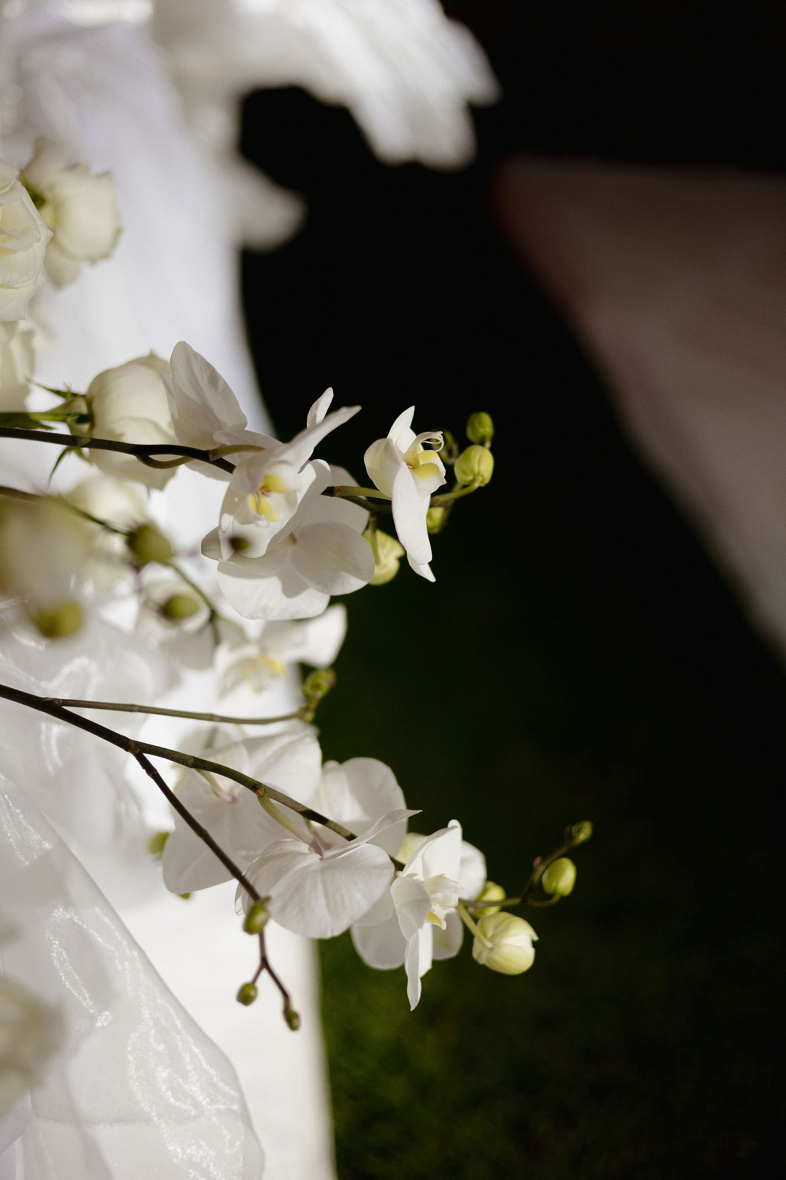 Boda de Septiembre
